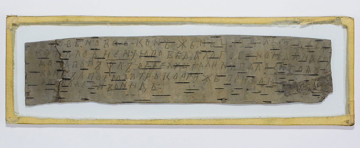 Birch Document