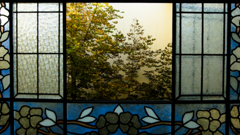 Stained-glass window decorated with flowers in Lviv, Ukraine 