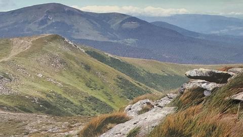 The Carpathian Mountains
