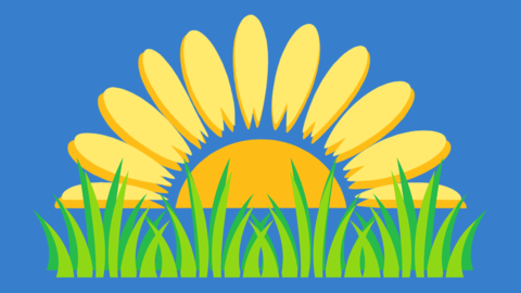Sunflower and grass against blue backgroun