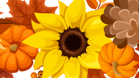autumnal image with sunflower, pumpkins, and leaves