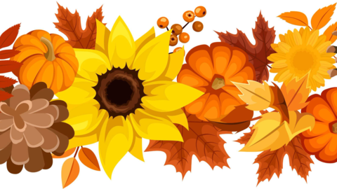 autumnal image with sunflower, pumpkins, and leaves