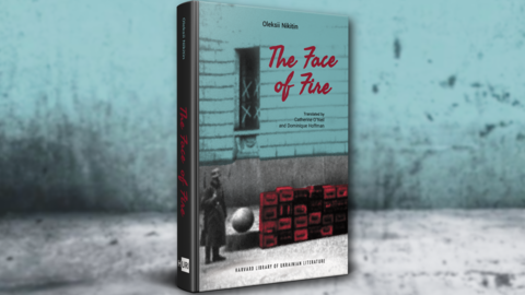 Book cover of The Face of Fire