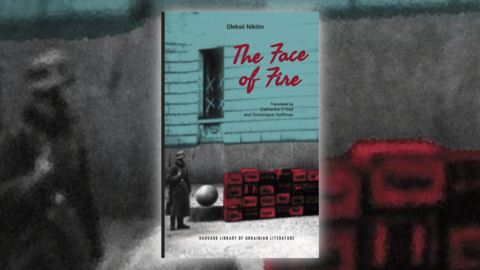 Book cover of The Face of Fire