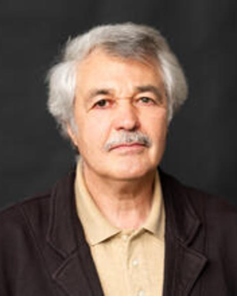Volodymyr Dibrova