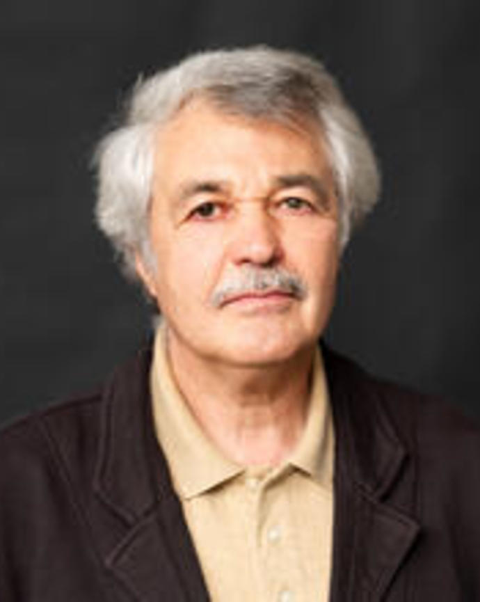 Volodymyr Dibrova