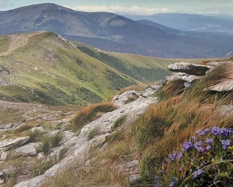 The Carpathian Mountains
