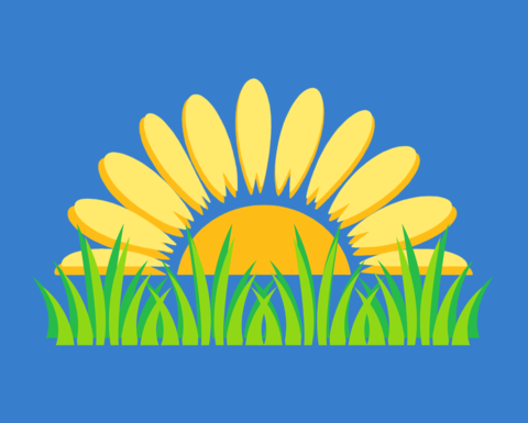 Sunflower and grass against blue backgroun