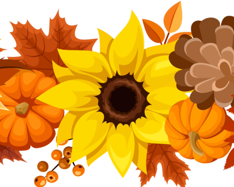 autumnal image with sunflower, pumpkins, and leaves