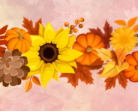 autumnal image with sunflower, pumpkins, and leaves