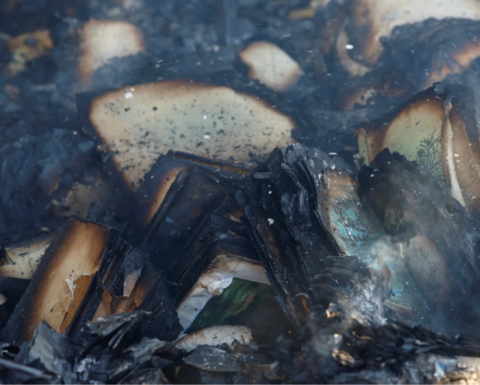 A closeup of burnt books